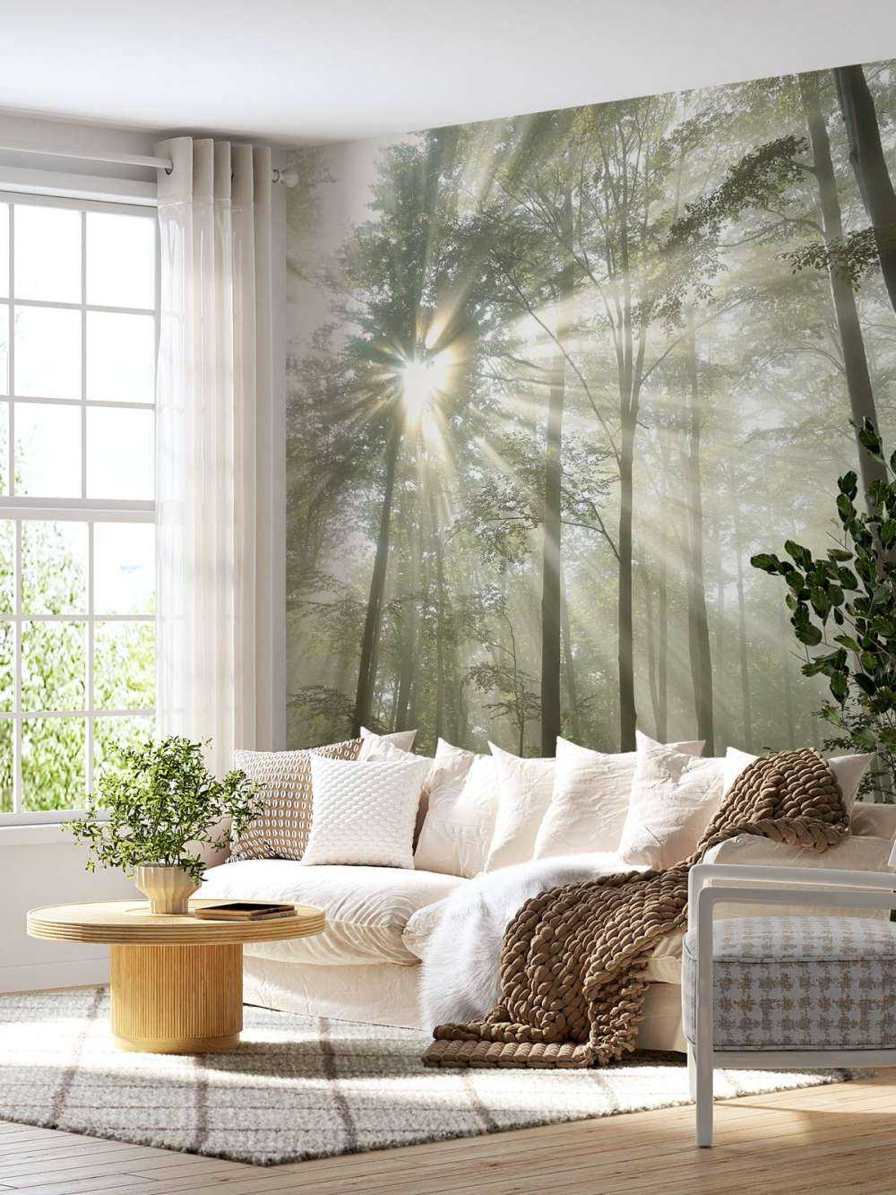 Foresta con la nebbia