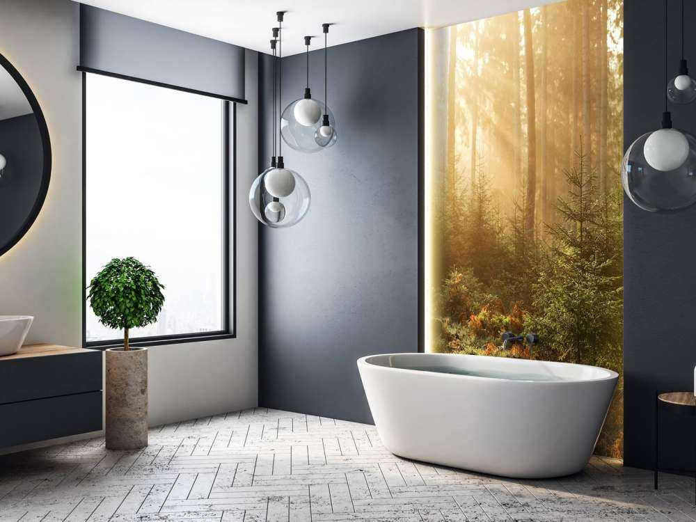 Raggi di sole attraverso la foresta