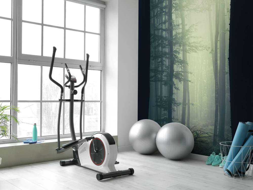 Raggio di sole nella foresta