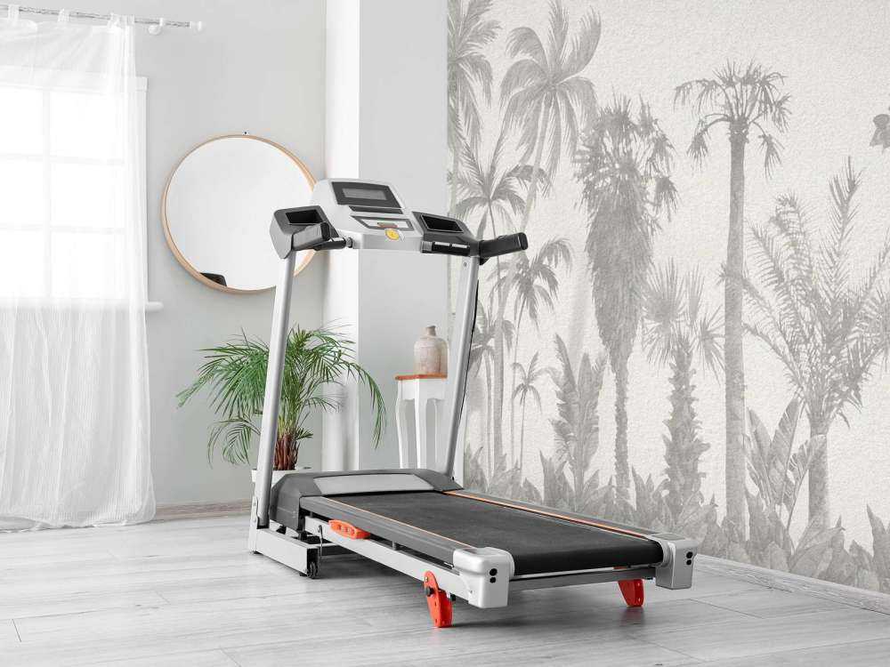 Giungla in tonalità di grigio