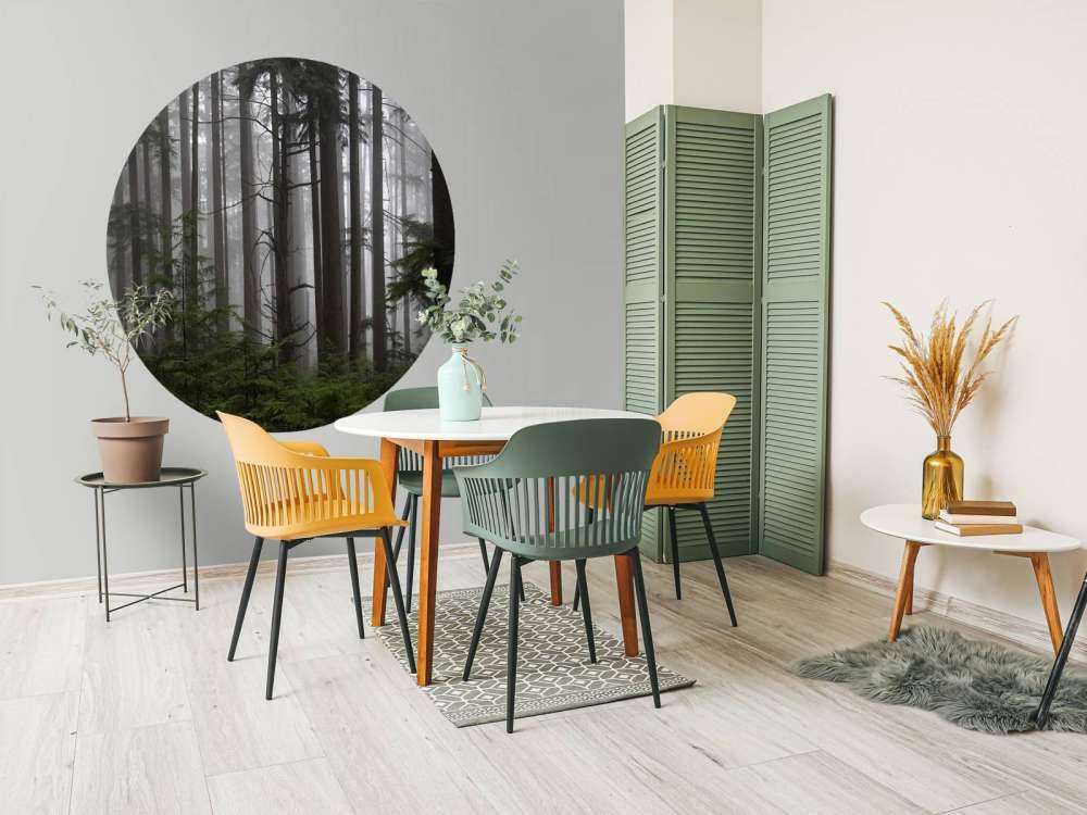 Foresta durante un giorno di nebbia