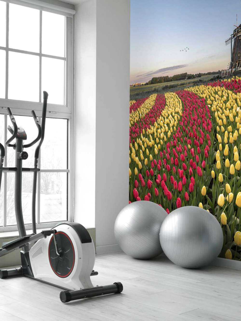 Campo di tulipani olandese