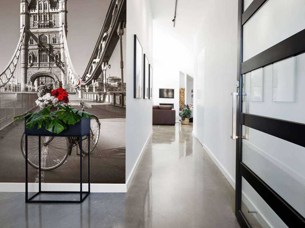 Cuccioli in un cestino da bicicletta