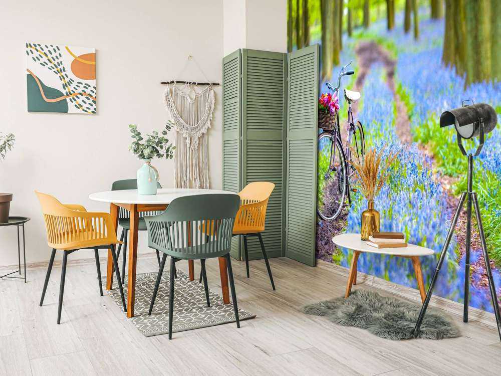 Bicicletta nella foresta