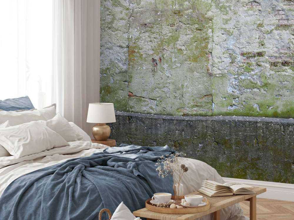 Muschio su un vecchio muro