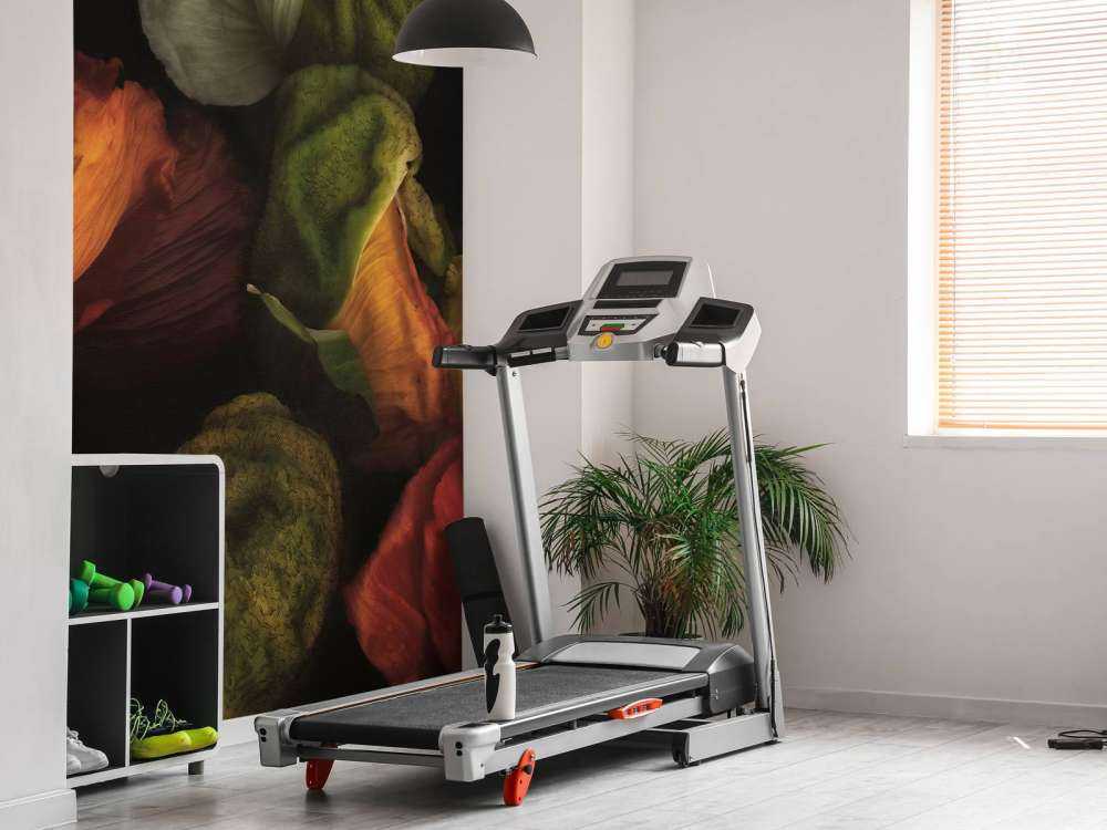 Papaveri compositi in erba