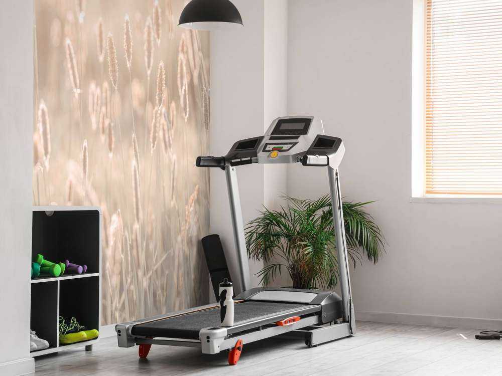 Prato durante il tramonto