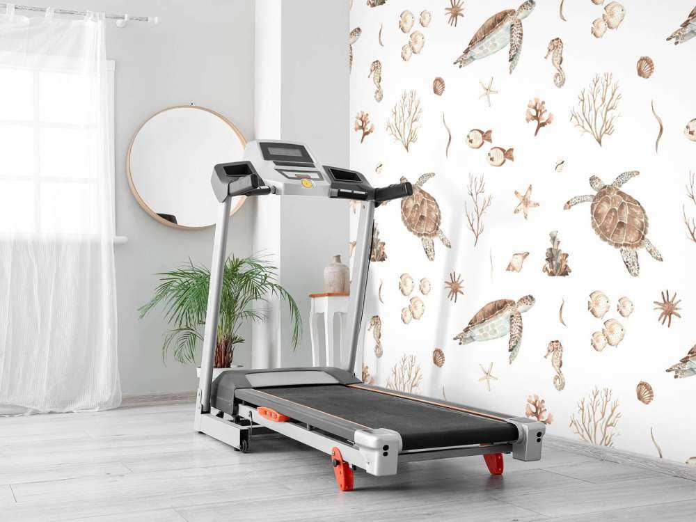 Conchiglie e creature marine