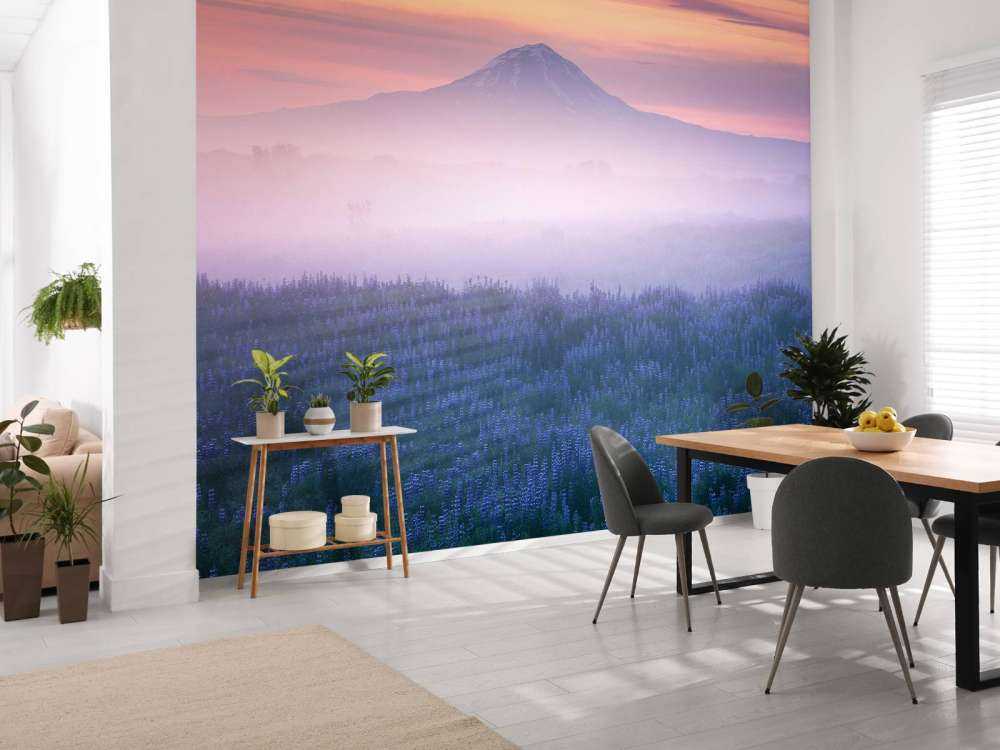 Iceland - Morning Calmness