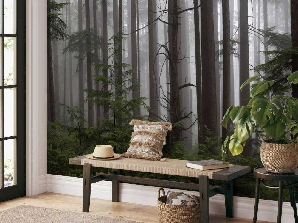 Foresta durante un giorno di nebbia