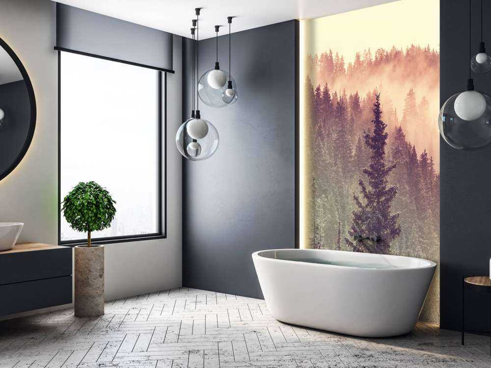 Nebbia nella foresta