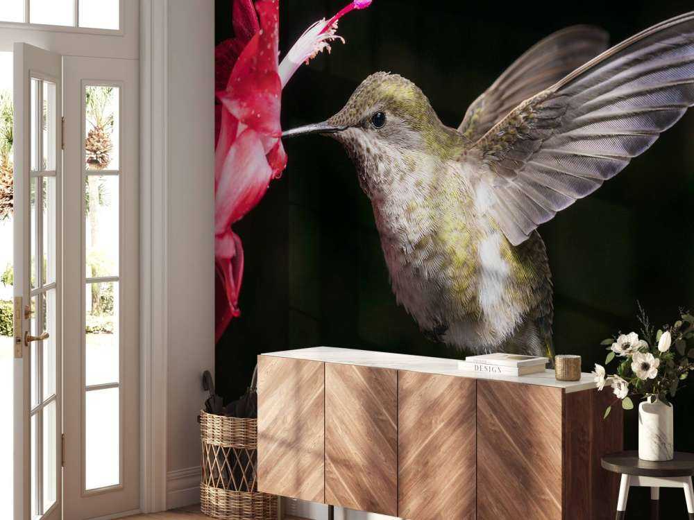 Colibrì con fiore rosso