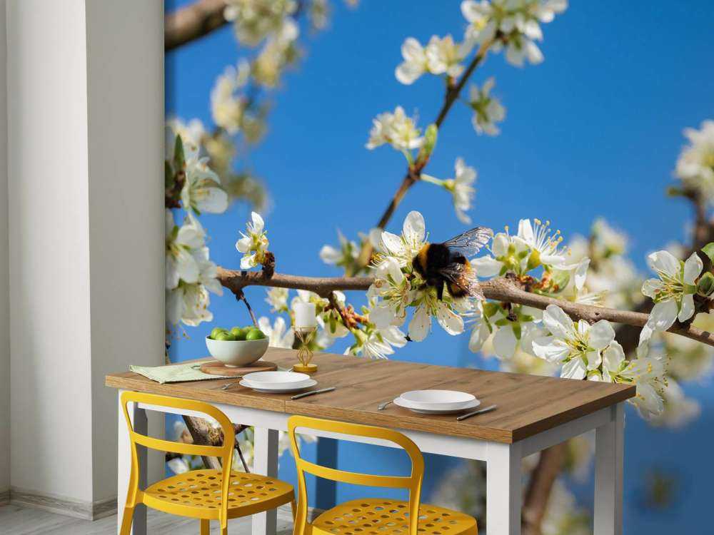 Bombo con fiori bianchi