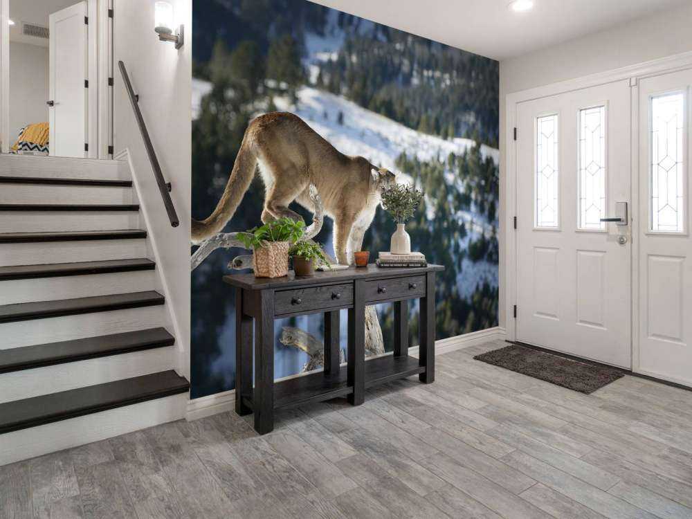 Leone di montagna su un albero morto