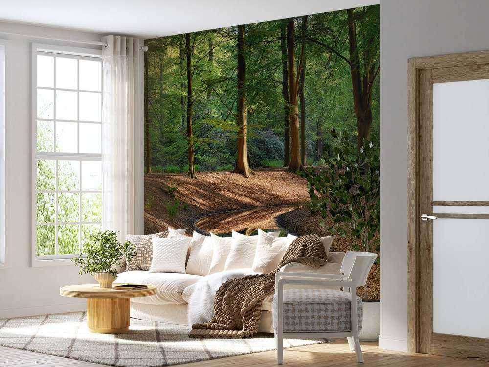 Brooklet nella foresta 