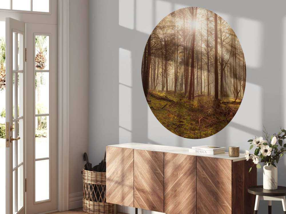 Foresta con alberi ad alto fusto