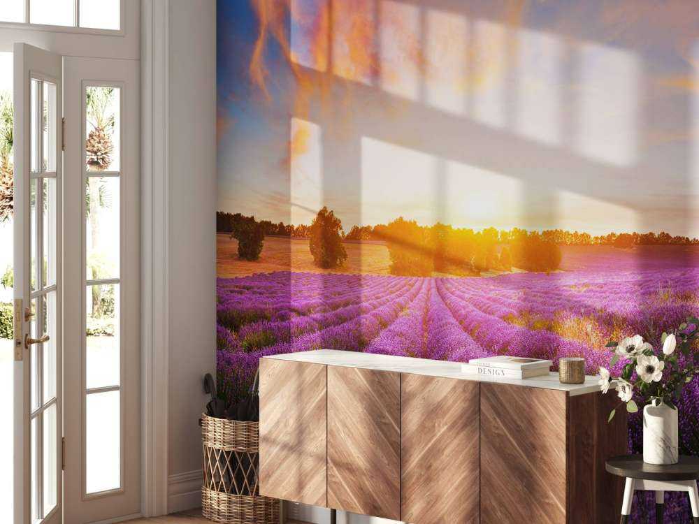 Campo con Lavanda