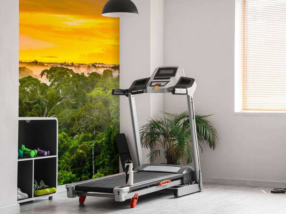 Foresta pluviale in Brasile 