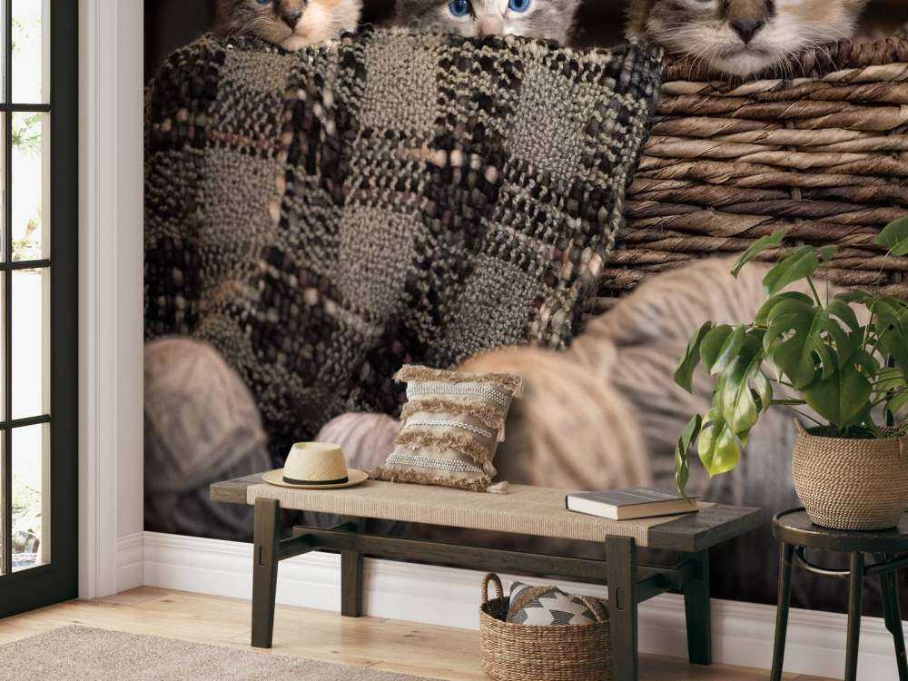 Tre gattini in un cestino