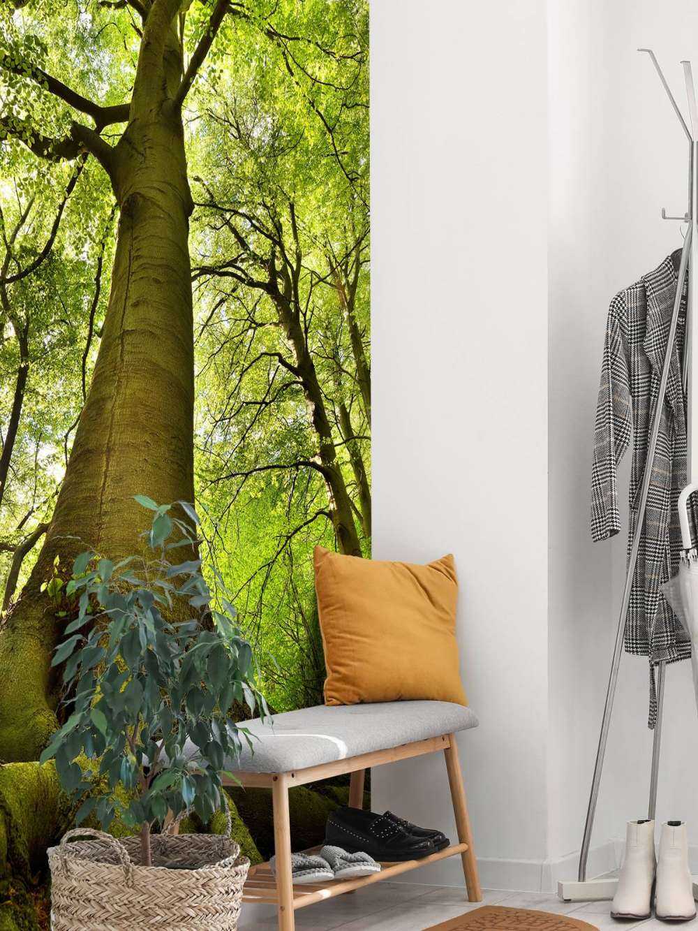 Grande albero e radici