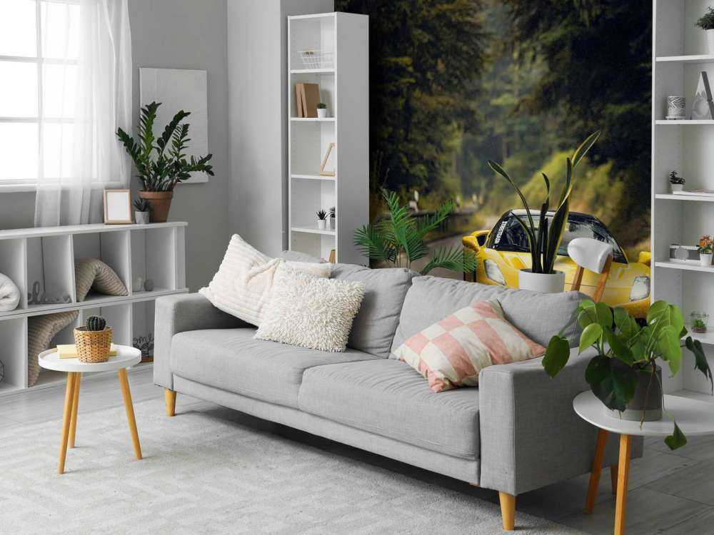 Maserati nel bosco verde