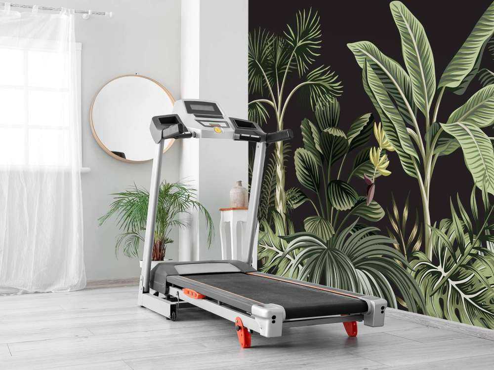 Palma tropicale su sfondo scuro