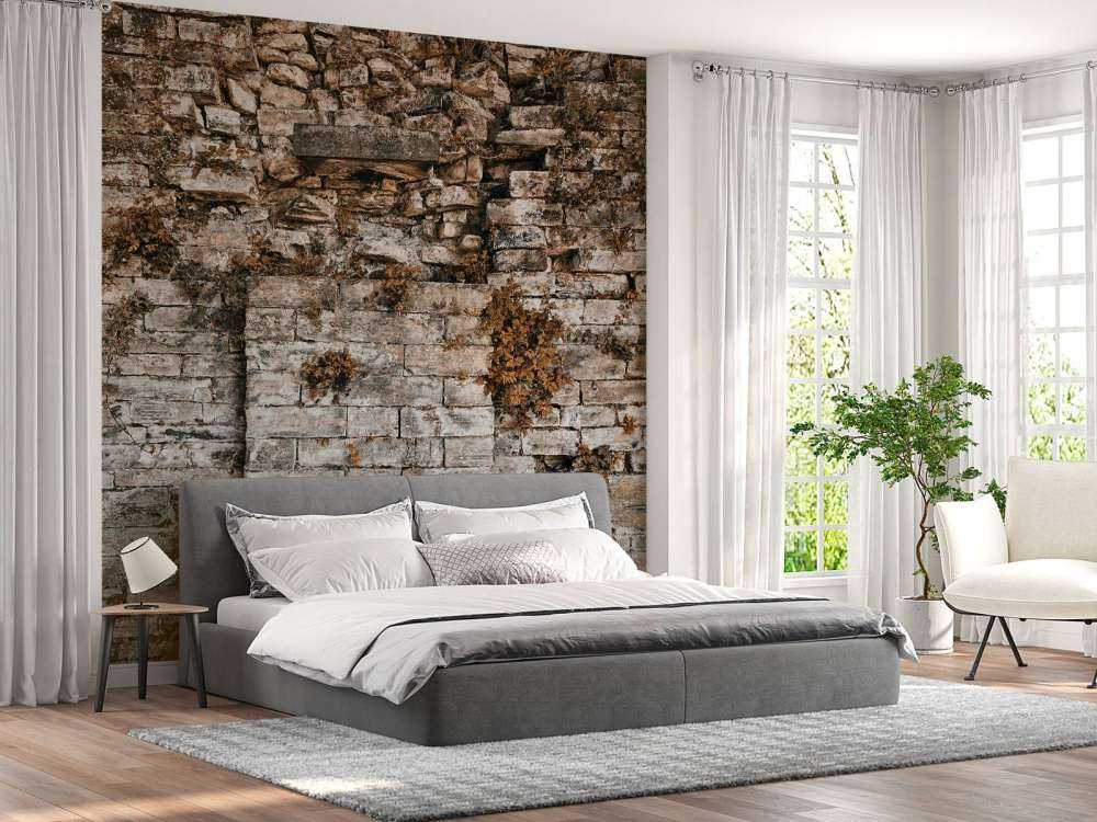 Parete vegetata in autunno