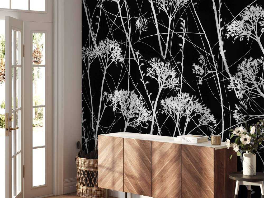 Silhouette di piante secche