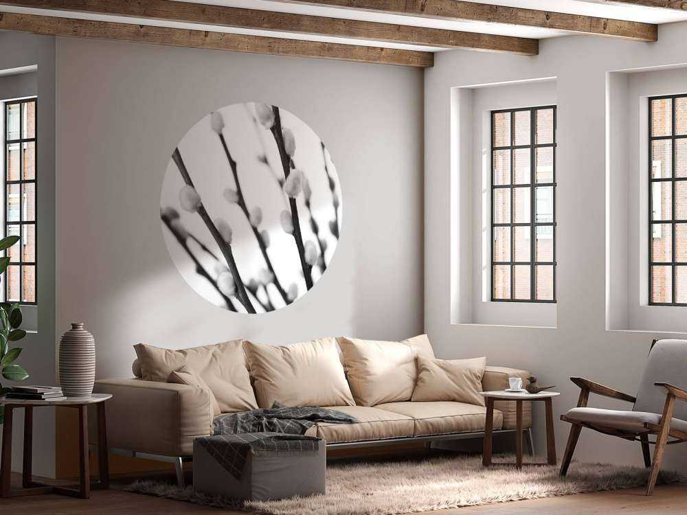 Salice bianco e nero