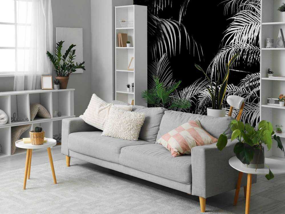 Pianta con foglie bianche