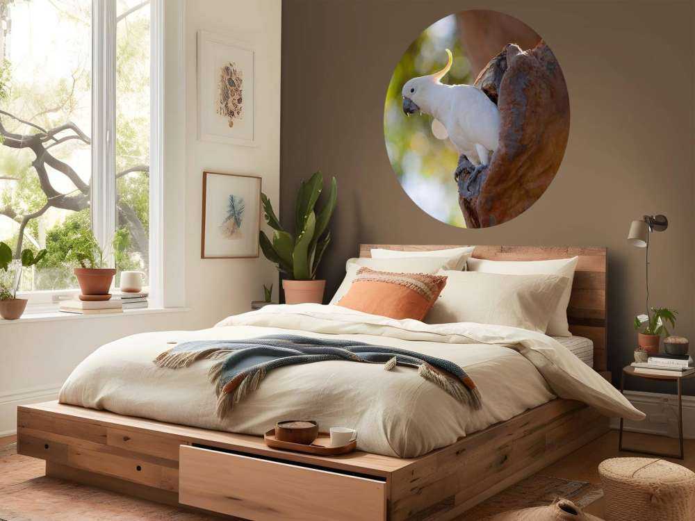 Cacatua in cavità dell'albero