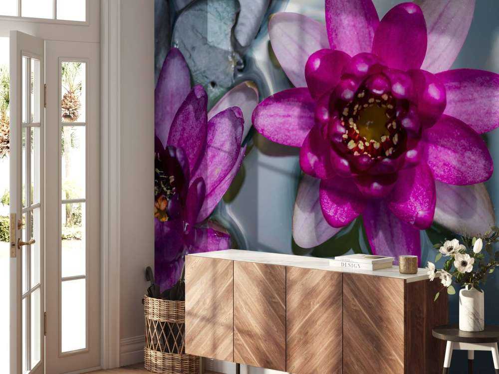 Fiore di loto rosa nell'acqua