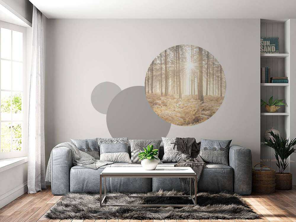 Raggi di sole attraverso la fredda foresta