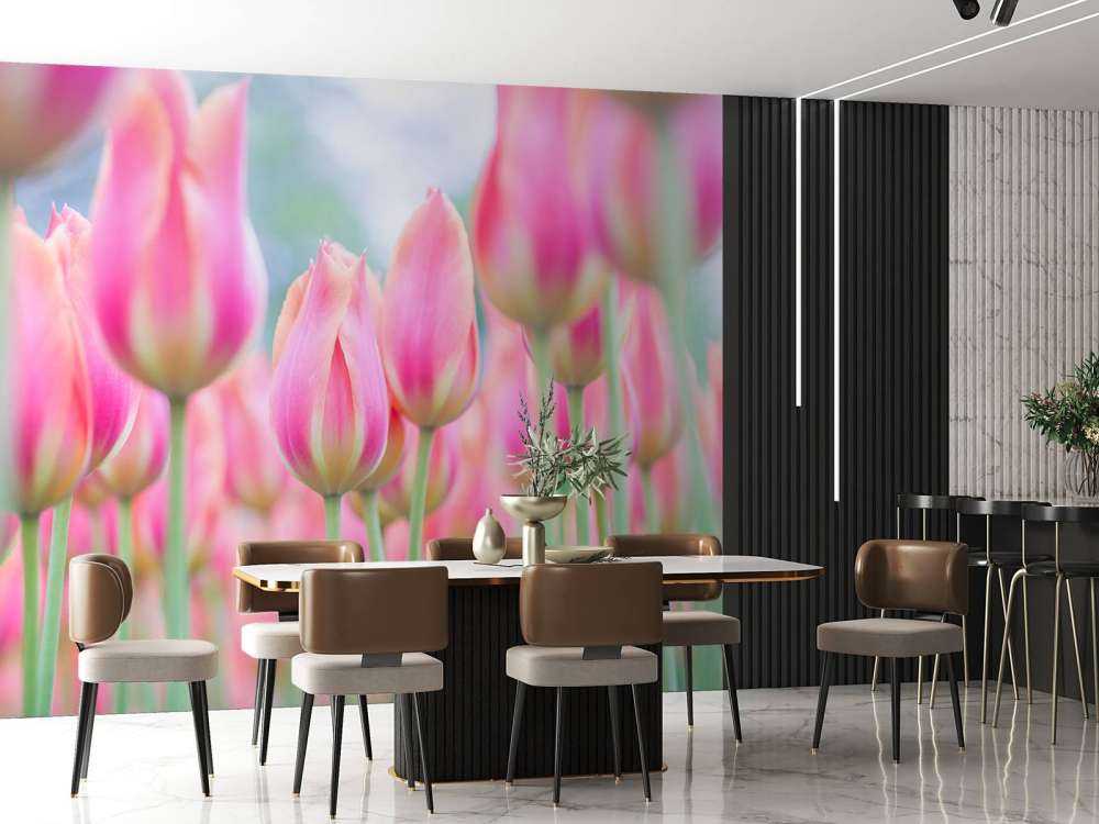 Tulipani rosa ravvicinati