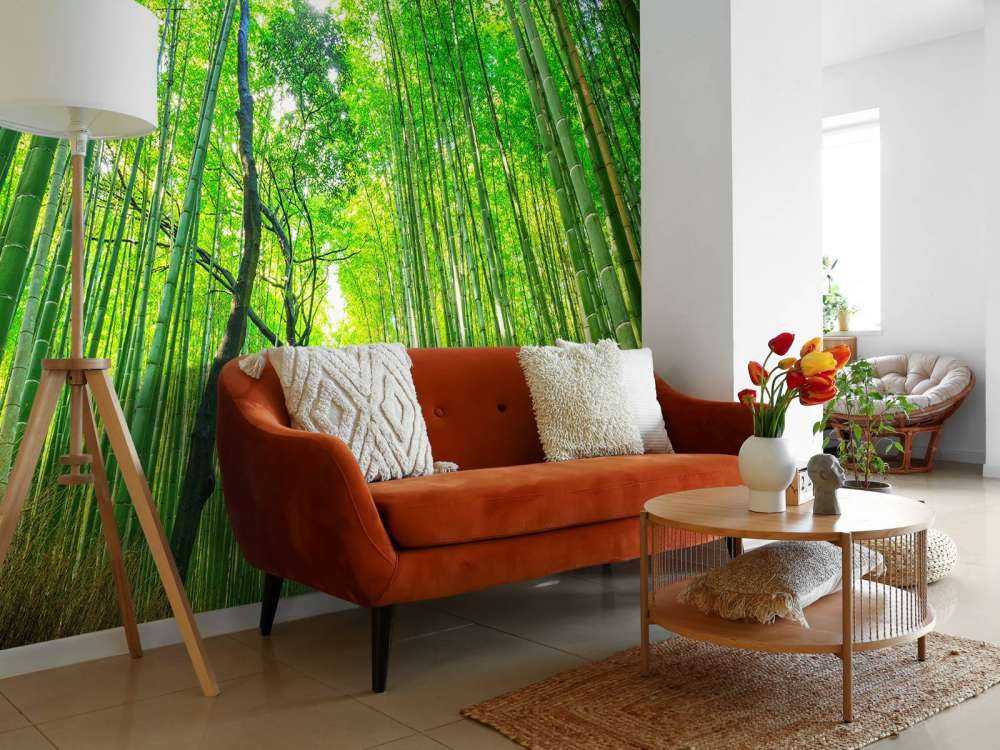 Foresta di bambù di Arashiyama