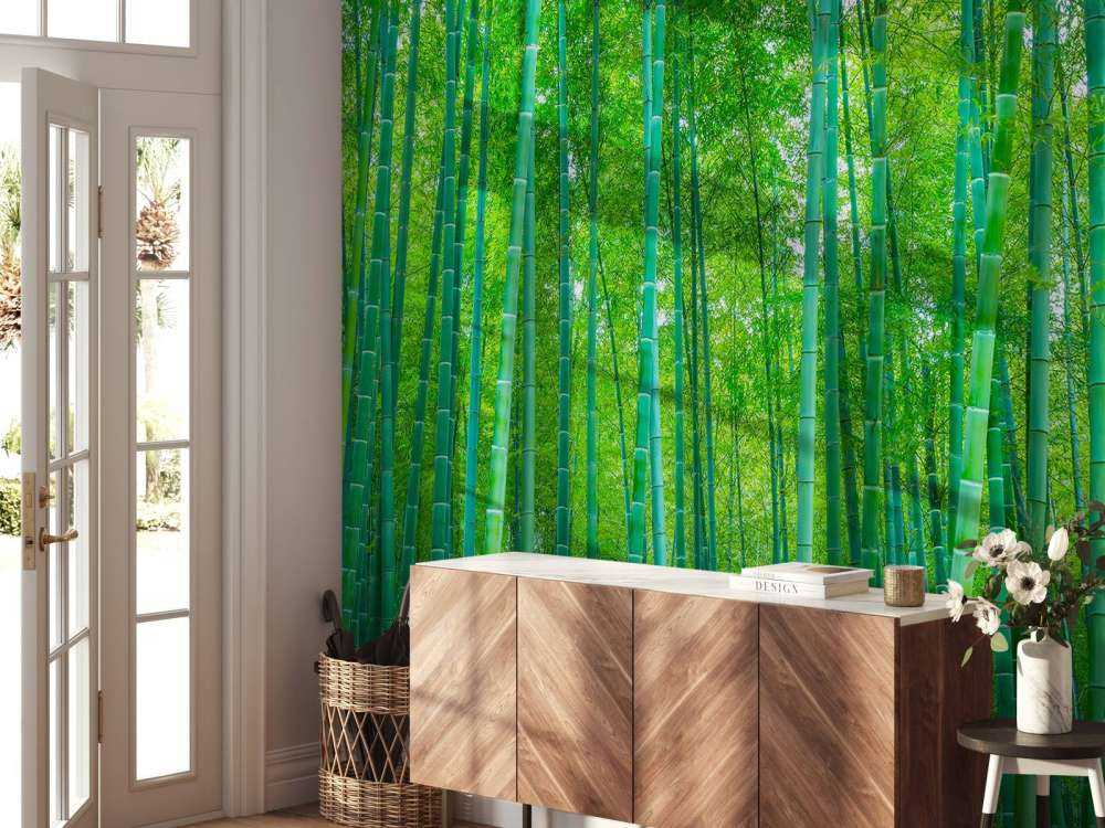 Una verde foresta di bambù