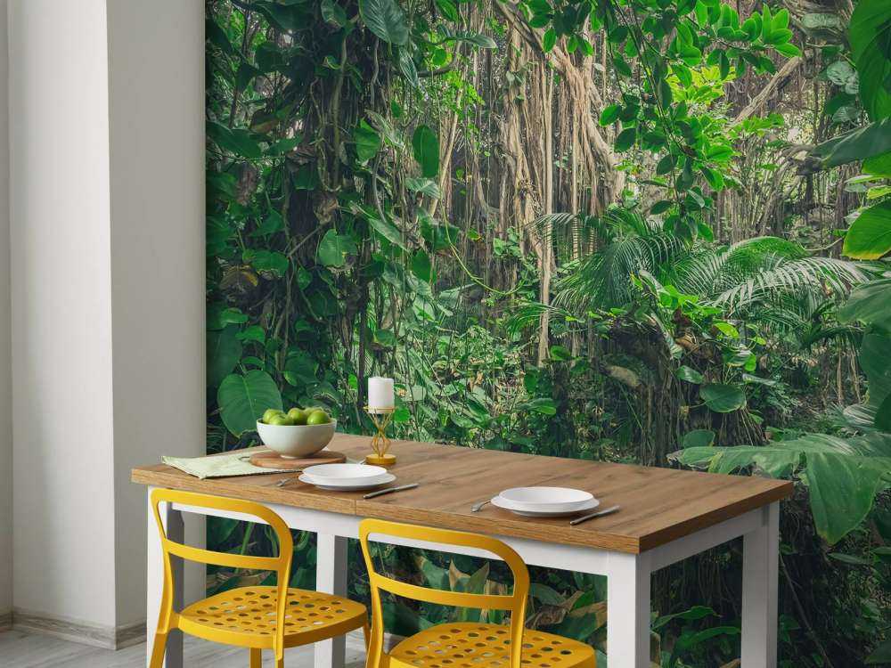 Rami nella foresta pluviale