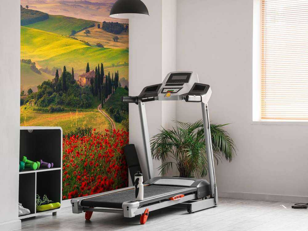 Papaveri rossi con paesaggio italiano