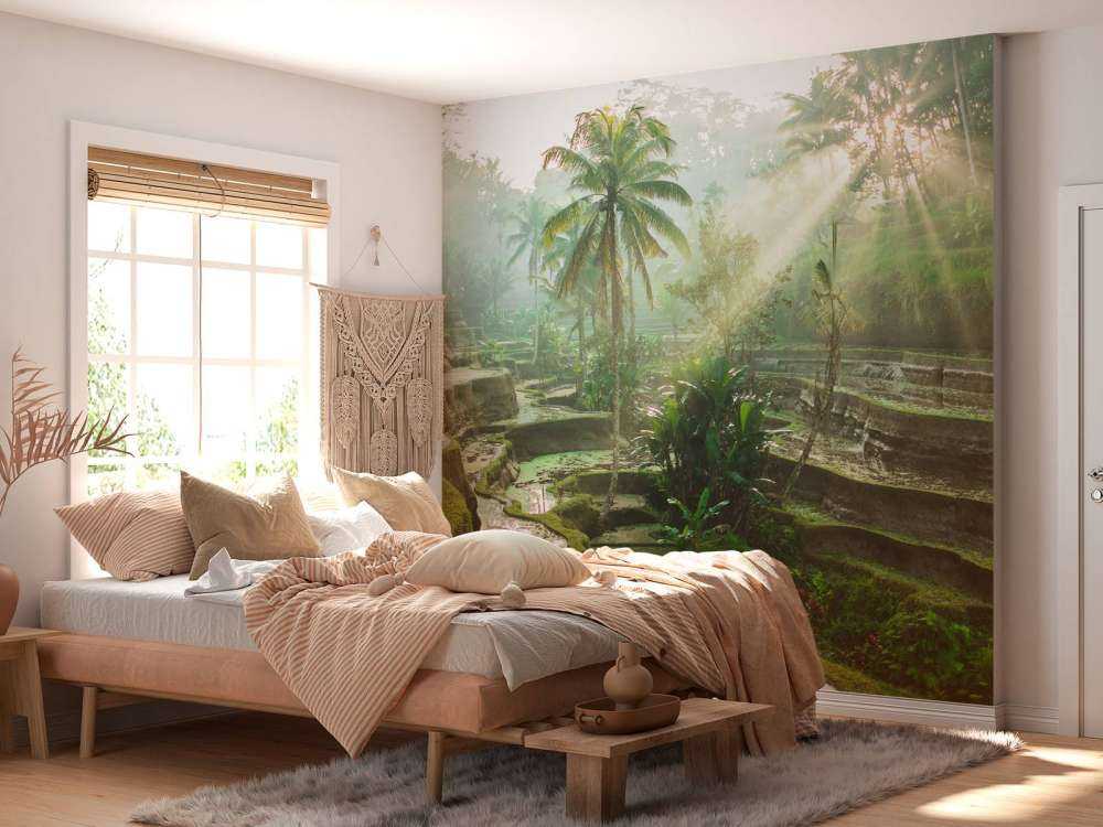 Campi di riso nella giungla