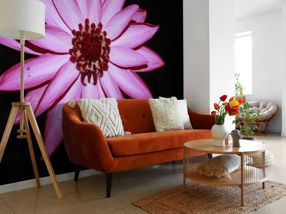 Fiore di loto dall'alto