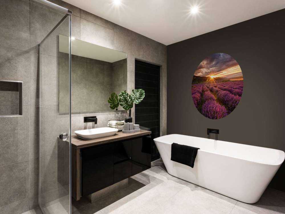 Lavanda sotto il sole