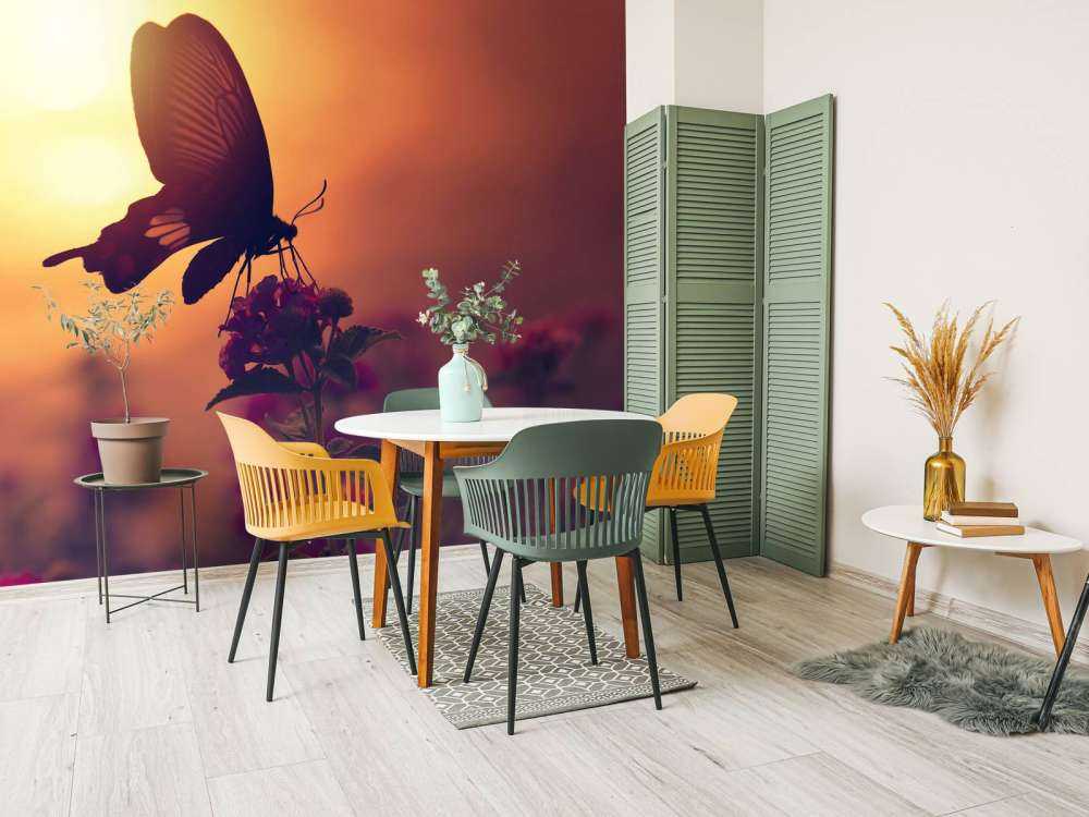 Farfalla con il tramonto