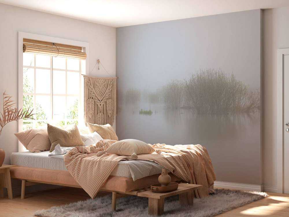 Nebbia nella riserva naturale