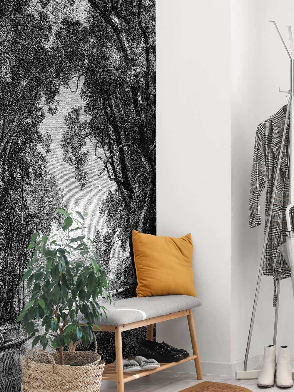 Vecchio fiume nella giungla