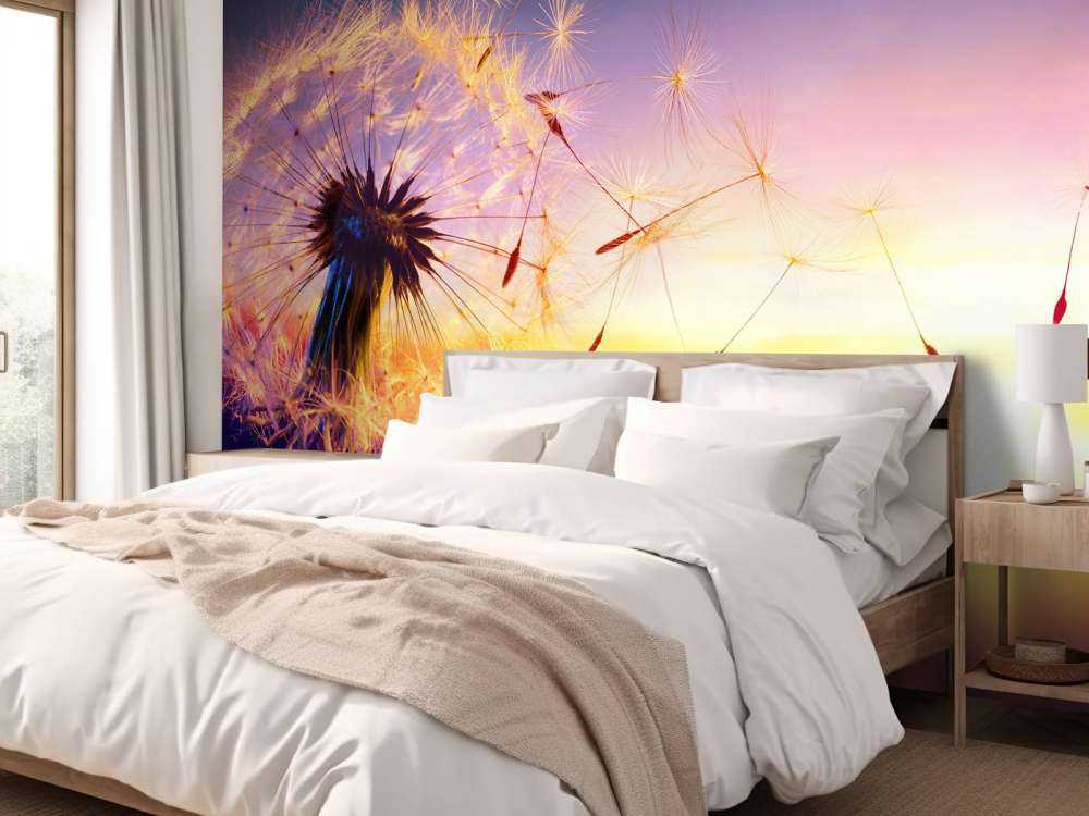 Tarassaco al tramonto