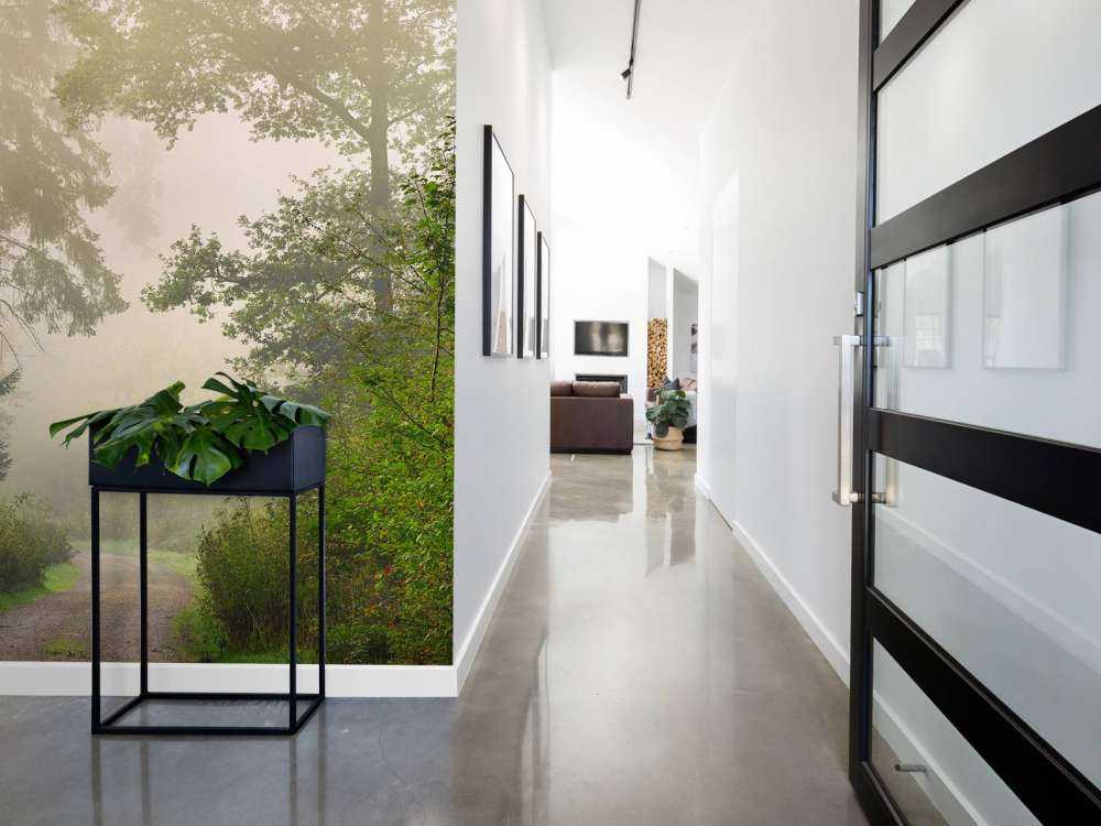 Strada attraverso la foresta nebbiosa