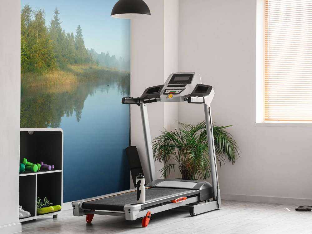 Ponteggi di legno nella foresta