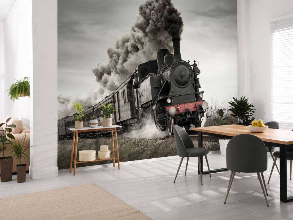 Treno a vapore d'epoca