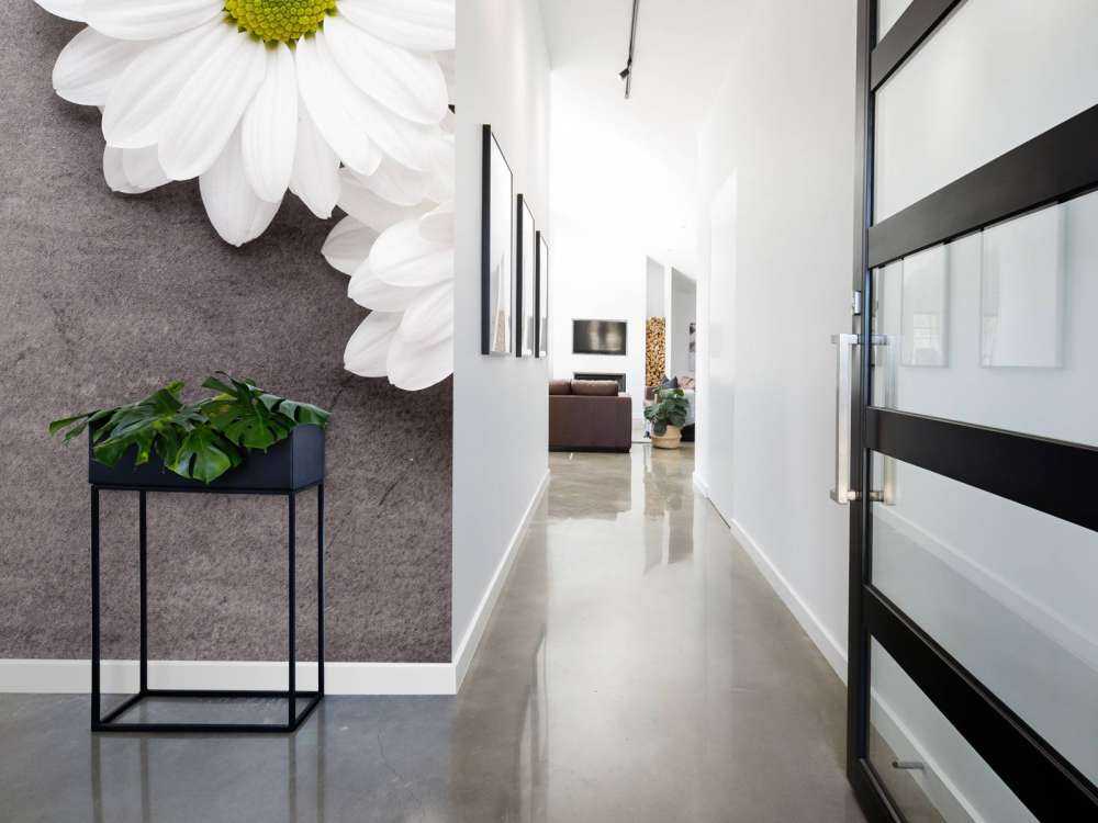 Margherite e calcestruzzo