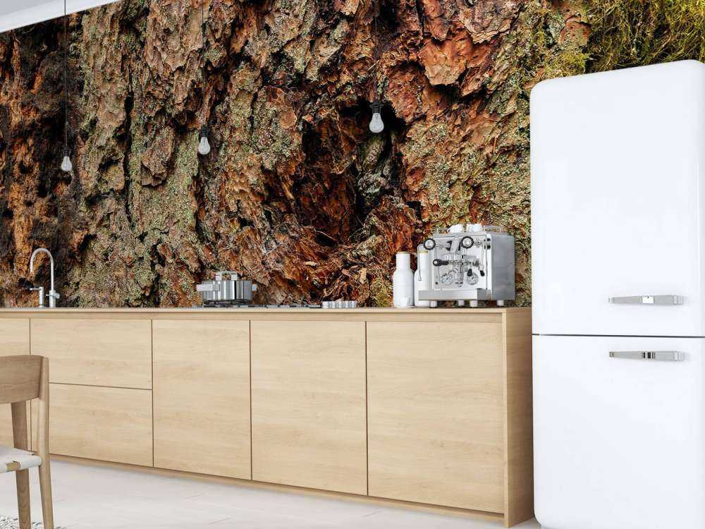 Albero corteccia vecchio albero 